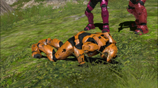 Grif push ups - S8.png
