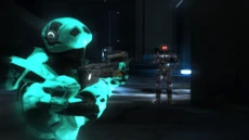 Carolina sees illusory Tex.png