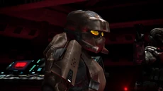 "We're the ones working outside the rules, not them