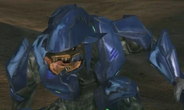 Halo 2