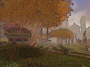 RoS01.jpg