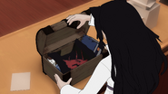 Blake's box of memories