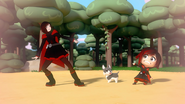Ruby's dream meeting her counterpart.
