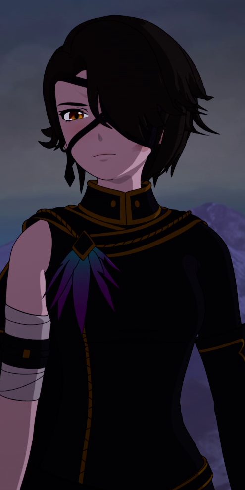 Cinder Fall Rwby Wiki Fandom