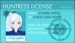 Huntsmen | RWBY Wiki | Fandom