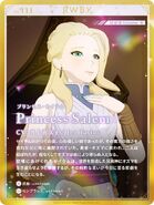 Promotional material of Princess Salem for RWBY ARCHIVES Remnant Promenade Vol. 1-8