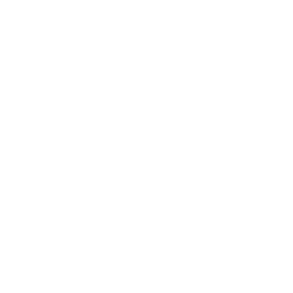 Schnee Emblem