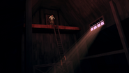Ladder to Oscar's room