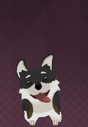 Zwei’s Default outfit for RWBY: Amity Arena