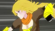 (1) Yang's normal eyes