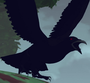 Raven as a bird.