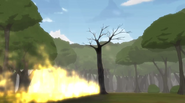 Weiss' diverted strike burns a tree.