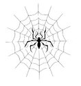 Spider[78]