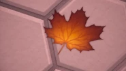 A single maple leaf...