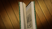 The Garden illustrated in The Girl Who Fell Through the World