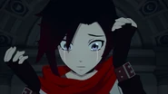 V7 11 00155.png (703 KB)
