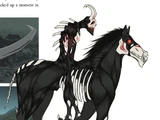 Nuckelavee/Image Gallery