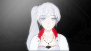 Introduction of Weiss Schnee