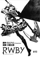 Chapter 13 cover