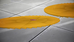 Roy saws gravity