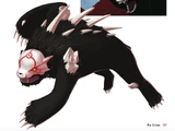 Ursa/Image Gallery