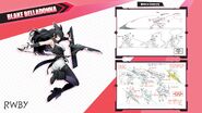 Character Art Collection of Blake Belladonna for BlazBlue: Cross Tag Battle.