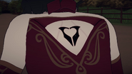 The symbol that appears on Cinder's back