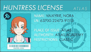 Nora License