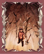 The Man Who Stared at the Sun