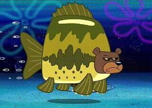 SeaBear