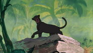 Bagheera abandons Mowgli after a conflict.