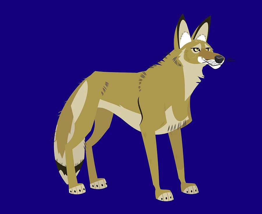 Coyote (Wild Kratts) | Ryan's Funny Parts Wikia | Fandom