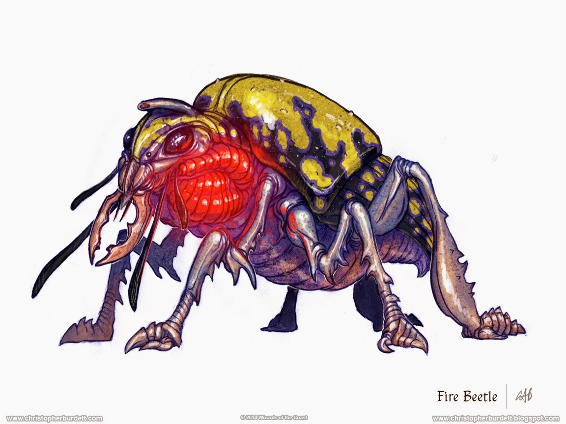 Giant Fire Beetles Rythiae Wiki Fandom