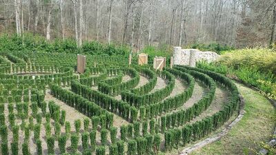 S-town-hedge-maze-2