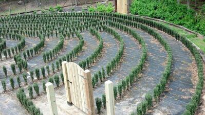 S-town-hedge-maze-3