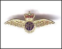 RAF Wing Badge