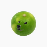 Kabosukabosu the dogefruit