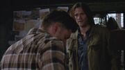 SPN 0259