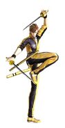 Twin Sword Kung-fu DLC Costume (Sengoku BASARA 4)