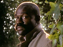 Steve dixie 2
