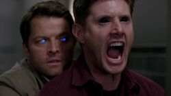 SPN 1617