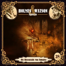 Holmes & Watson Mysterys 28