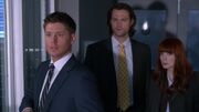 SPN 0678