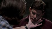SPN 0736.jpg