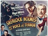 Die Stimme des Terrors