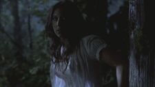 SPN 0022