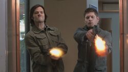 SPN 0077