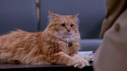 "Bob" wird von Castiel befragt und ist nicht sehr glücklich darüber