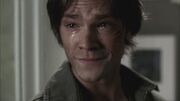 SPN 1213