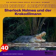 Einzel-Veröffentlichung (Rupert Pichler)
